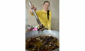 La tarentule grillée : un délice cambodgien à ne pas manquer