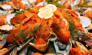 Les meilleures expériences de fruits de mer à Niort dans les restaurants