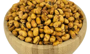 Les bienfaits des graines de soja grillées pour une santé optimale
