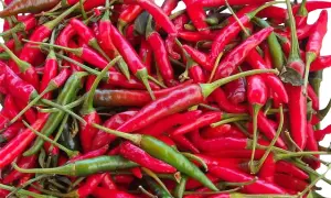 Quel pays mange le plus épicé ? Les cuisines qui réchauffent le cœur