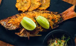 Meilleurs restaurants de fruits de mer à Valenciennes pour une expérience inoubliable
