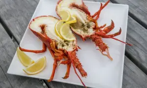 Langouste grillée plancha : la recette parfaite pour un festin réussi