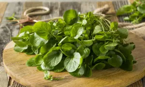 Recettes de salade de cresson : des idées fraîches et savoureuses