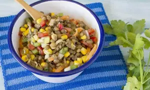 Recettes salade de lentilles : des options saines et délicieuses pour l'été