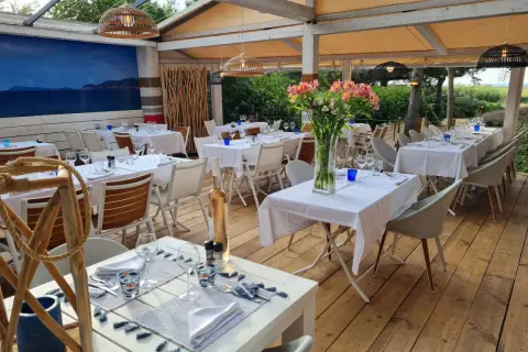 Les meilleurs restaurants de fruits de mer à Hyères pour vos repas inoubliables