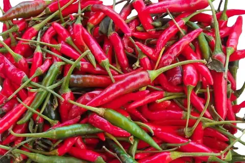 Quel pays mange le plus épicé ? Les cuisines qui réchauffent le cœur