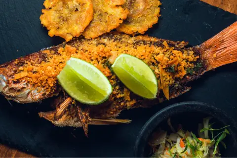 Meilleurs restaurants de fruits de mer à Valenciennes pour une expérience inoubliable