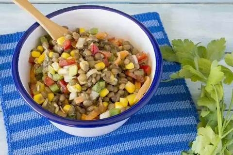 Recettes salade de lentilles : des options saines et délicieuses pour l'été