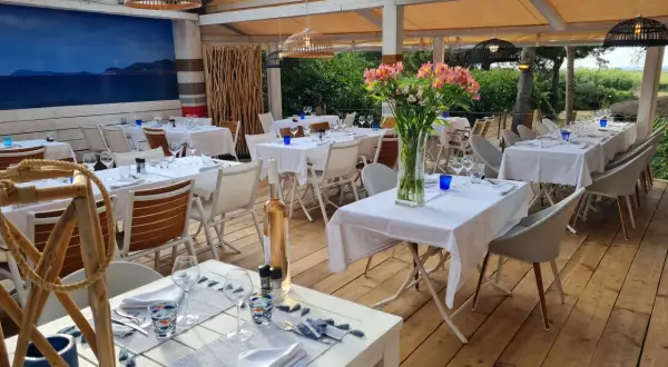 Les meilleurs restaurants de fruits de mer à Hyères pour vos repas inoubliables