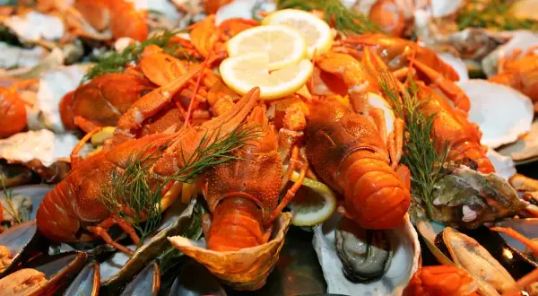 Les meilleures expériences de fruits de mer à Niort dans les restaurants