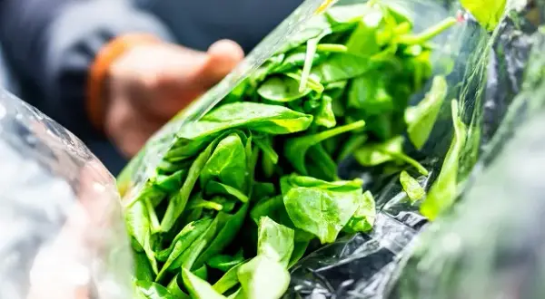 Les méfaits de la salade verte : attention aux effets indésirables