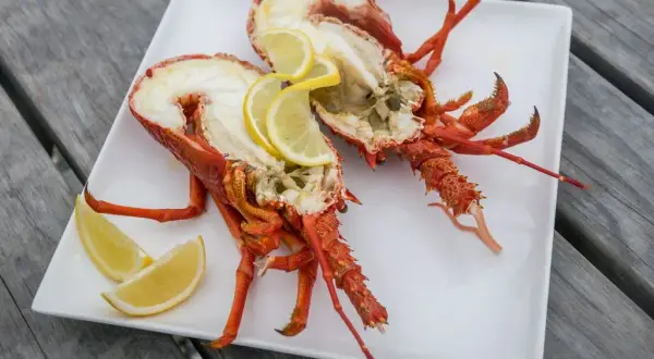 Langouste grillée plancha : la recette parfaite pour un festin réussi