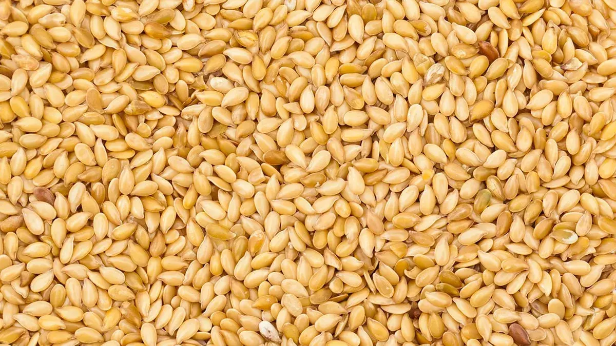 Comment utiliser les graines de sésame grillées pour sublimer vos plats
