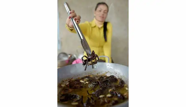 La tarentule grillée : un délice cambodgien à ne pas manquer