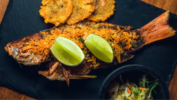 Meilleurs restaurants de fruits de mer à Valenciennes pour une expérience inoubliable