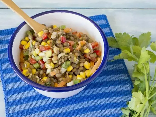 Recettes salade de lentilles : des options saines et délicieuses pour l'été